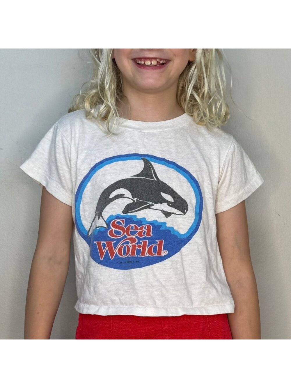 Vintage 1980s Kids' Sea World Cropped T-Shirt, Shamu Orca Whale, Youth Size 8/10